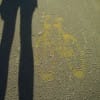 balaton2007