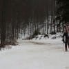 kojsova0