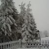 kojsova2007-1