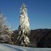 valcianska-dolina-1