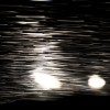IMG_1254