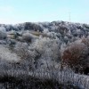 Lysá, Čergovské vrchy
