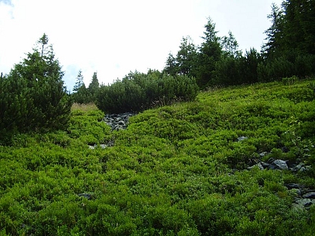 hrebenovka-volovske-vrchy-01