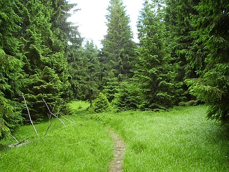 hrebenovka-volovske-vrchy-05