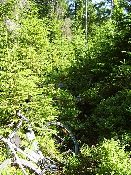 hrebenovka-volovske-vrchy-09