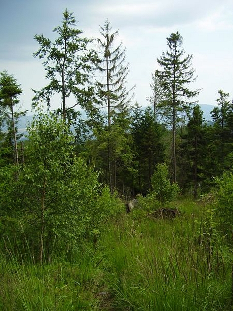 hrebenovka-volovske-vrchy-11