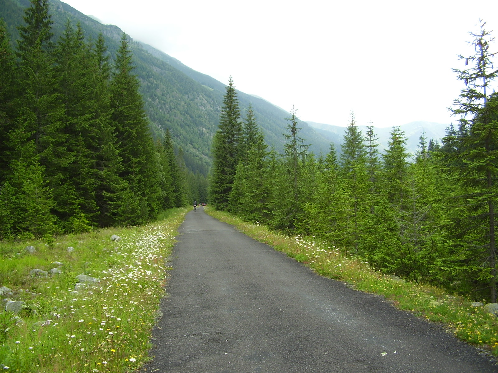 Koprova dolina, Vysoke Tatry