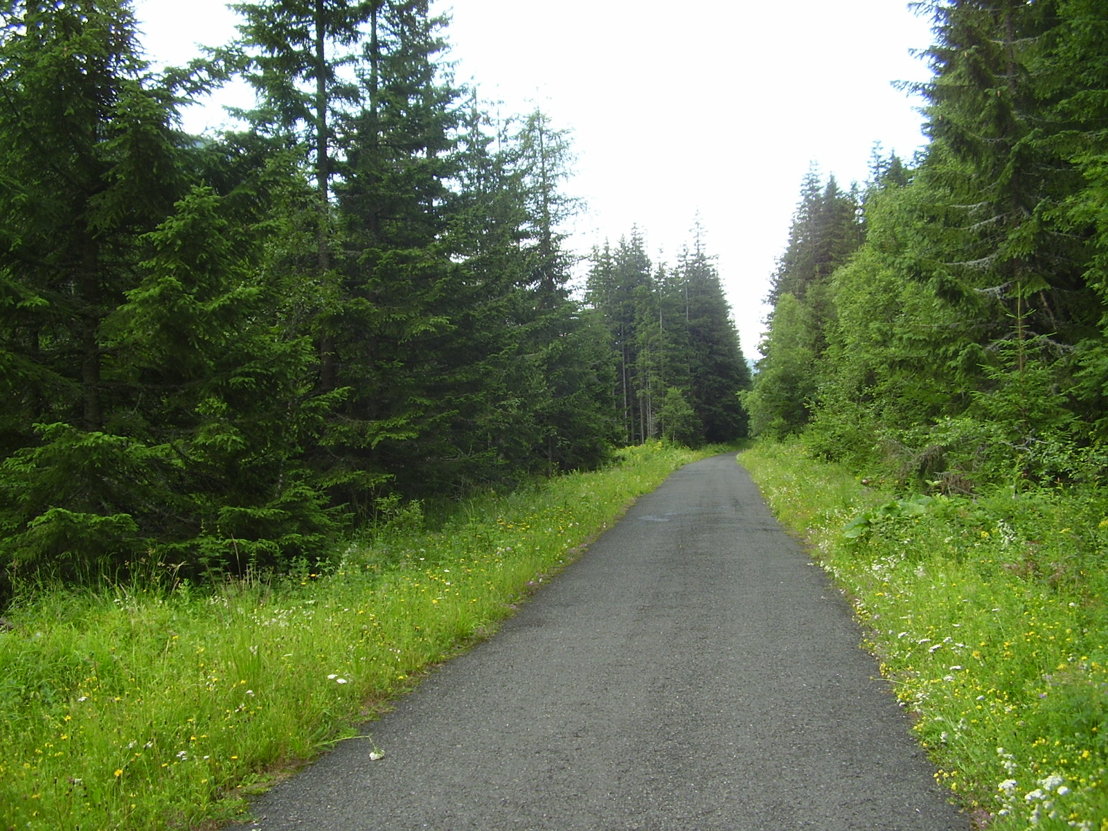 Koprovska dolina, Vysoke Tatry