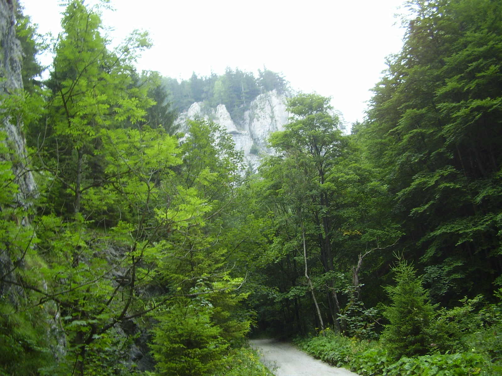 Gaderska dolina