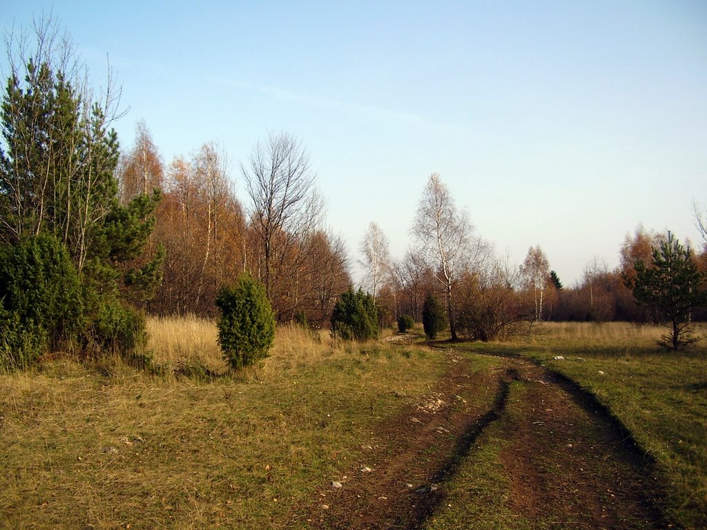 Jasovská planina, Slovenský kras