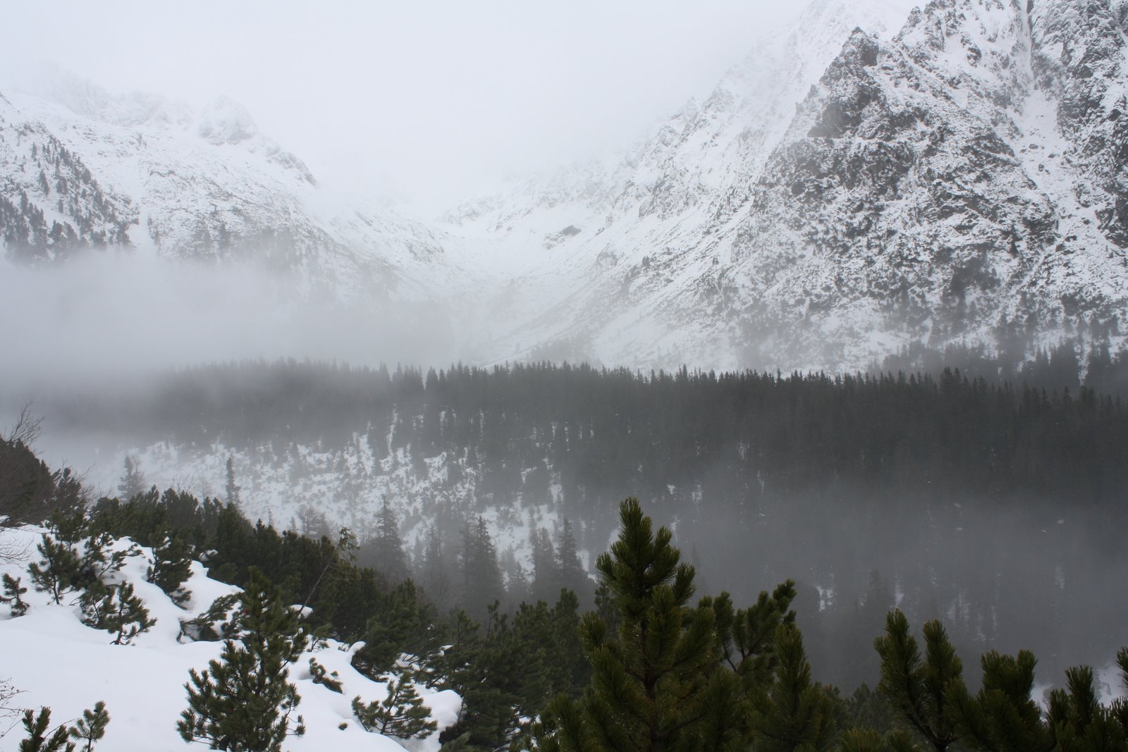 Vysoké Tatry