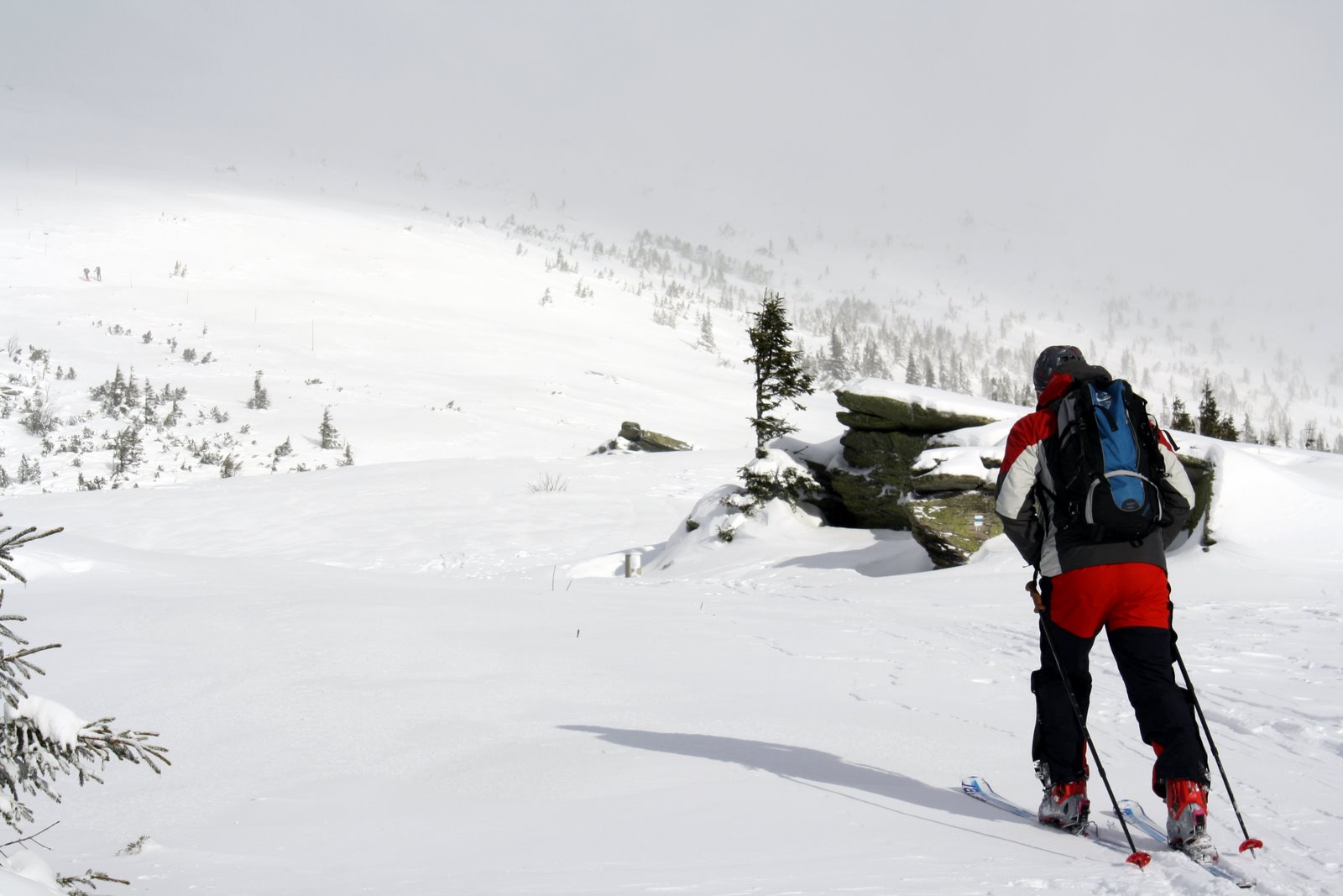 Pod Kráľovou hoľou, Nízke Tatry