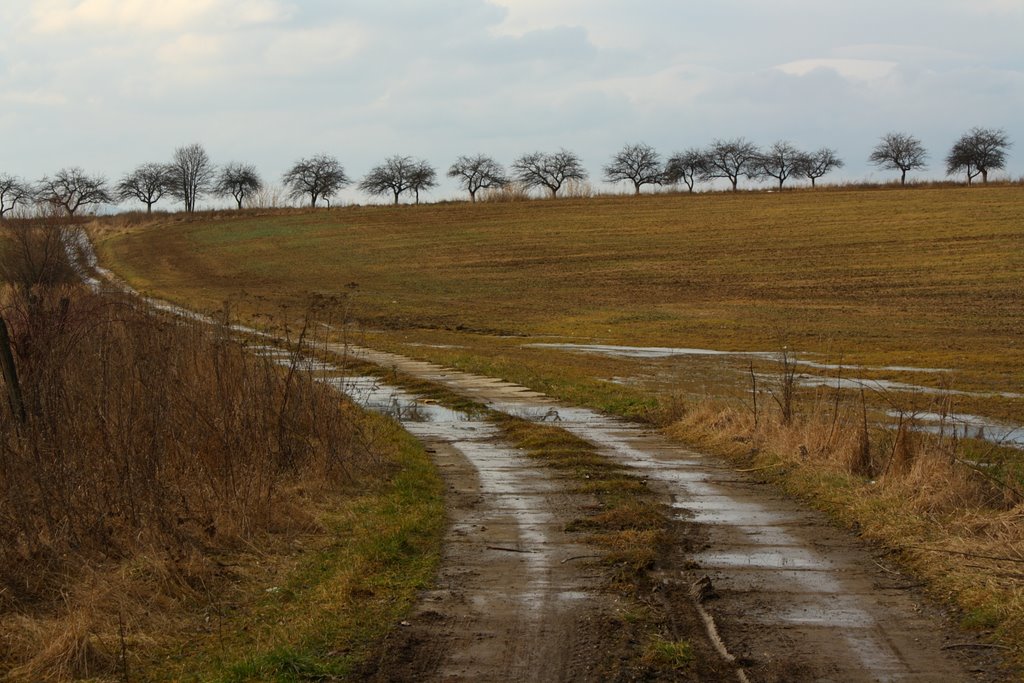 Ploské