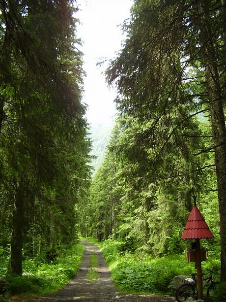 bike-koprova-dolina-3