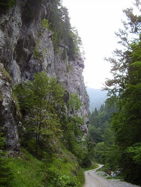 gaderska1