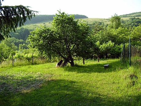 kavecany-zahrada-2