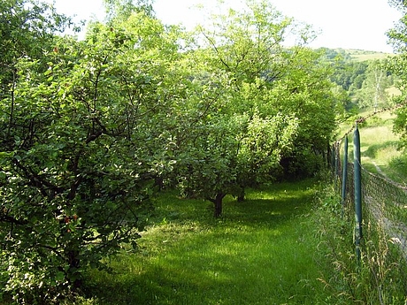 kavecany-zahrada-3