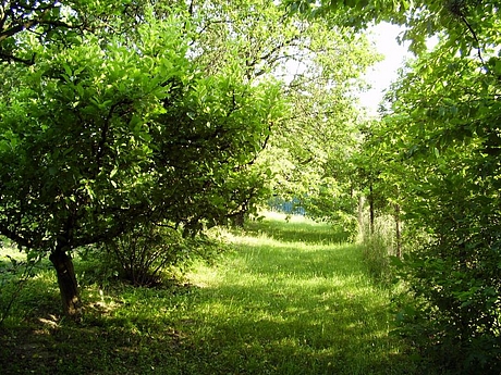 kavecany-zahrada-4