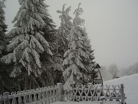 kojsova2007-1