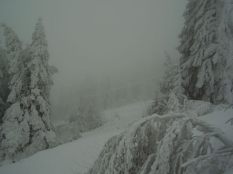 kojsova2007-21