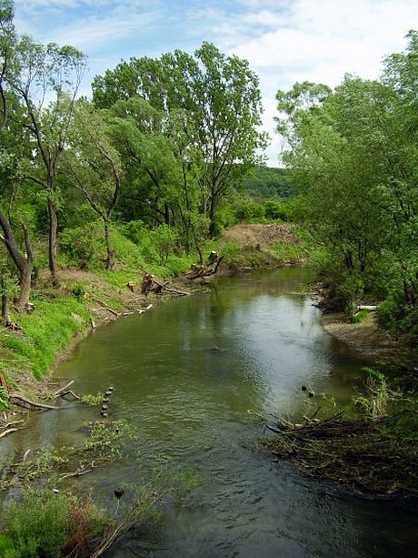 kosicka-polianka-2