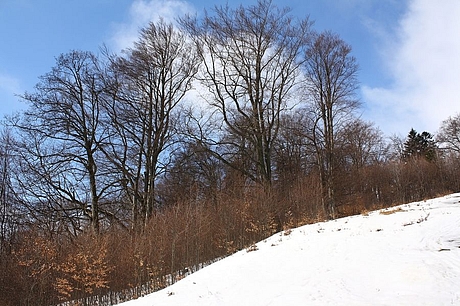 krizna-turecka-hzs-3