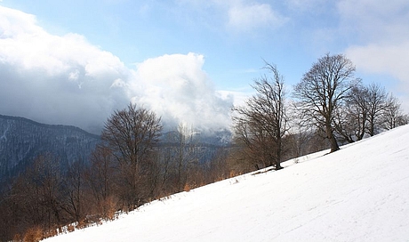 krizna-turecka-hzs-4