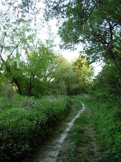 nizna-mysla-4