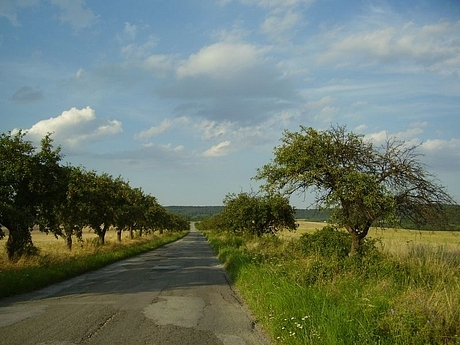 ploske-budimir-cizatice-1