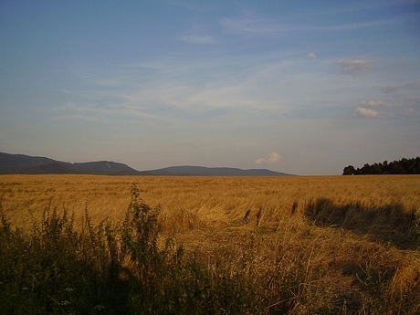 ploske-budimir-cizatice-2