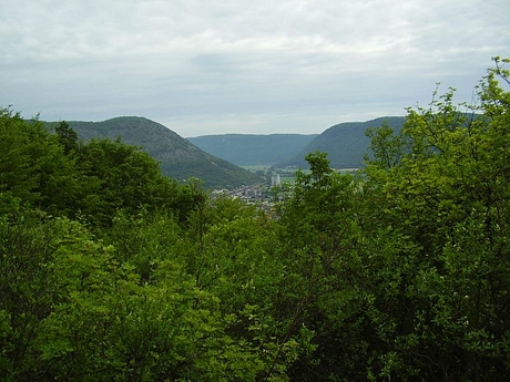 a1