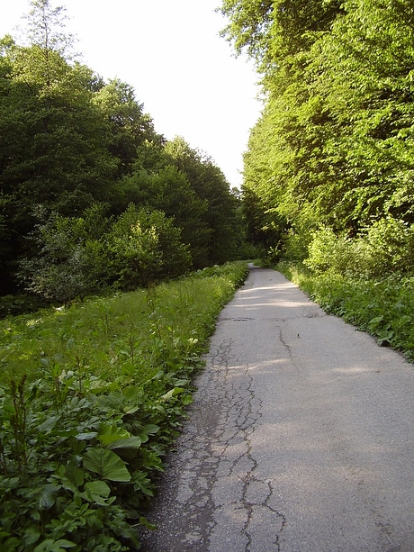 Čermelská dolina