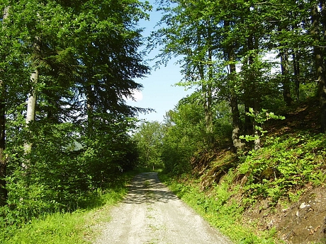 Razcestník nad Jahodnou
