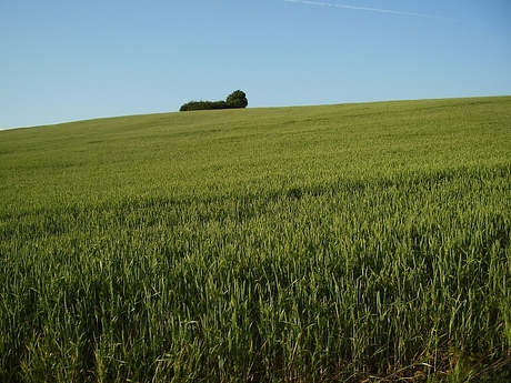 Klátovské lúky