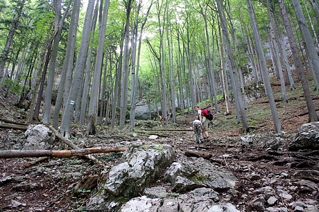 strmina pod Mažarnou jaskyňou strmina pod Mažarnou jaskyňou