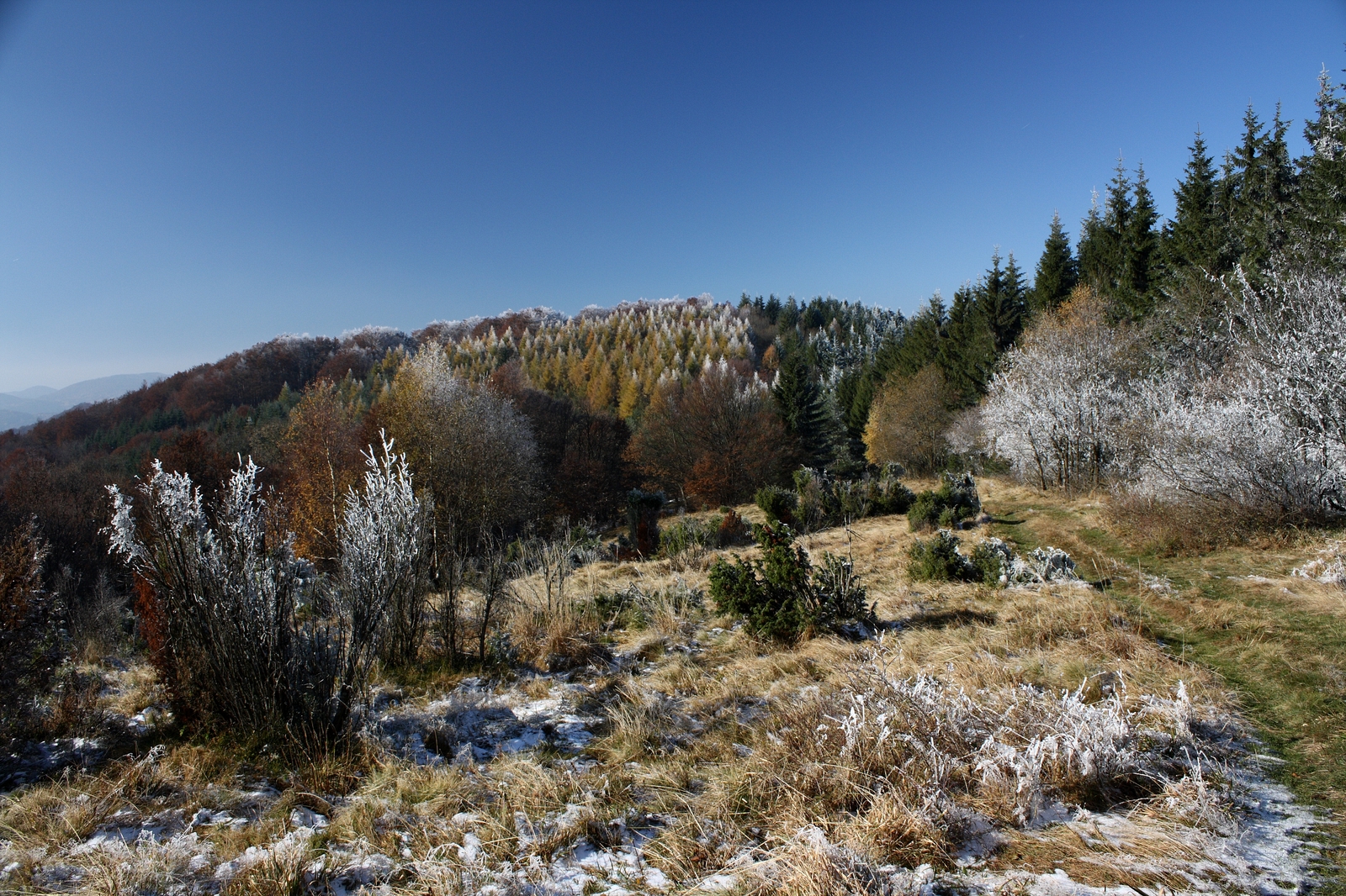 Lysa - Cergov - sedlo Lysina - Podbaranie - Lysa, Cergovske vrchy