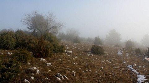 Zádielska planina, Slovenský kras