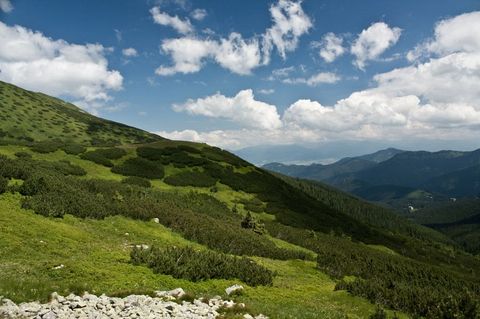 Pod sedlom Poľana, Nízke Tatry. Pod sedlom Poľana, Nízke Tatry.