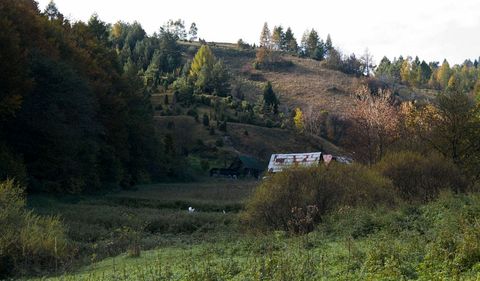 Lačnov