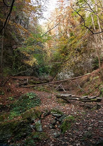 Lačnovská tiesňava, Branisko