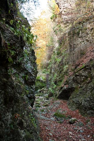 Lačnovská tiesňava, Branisko.