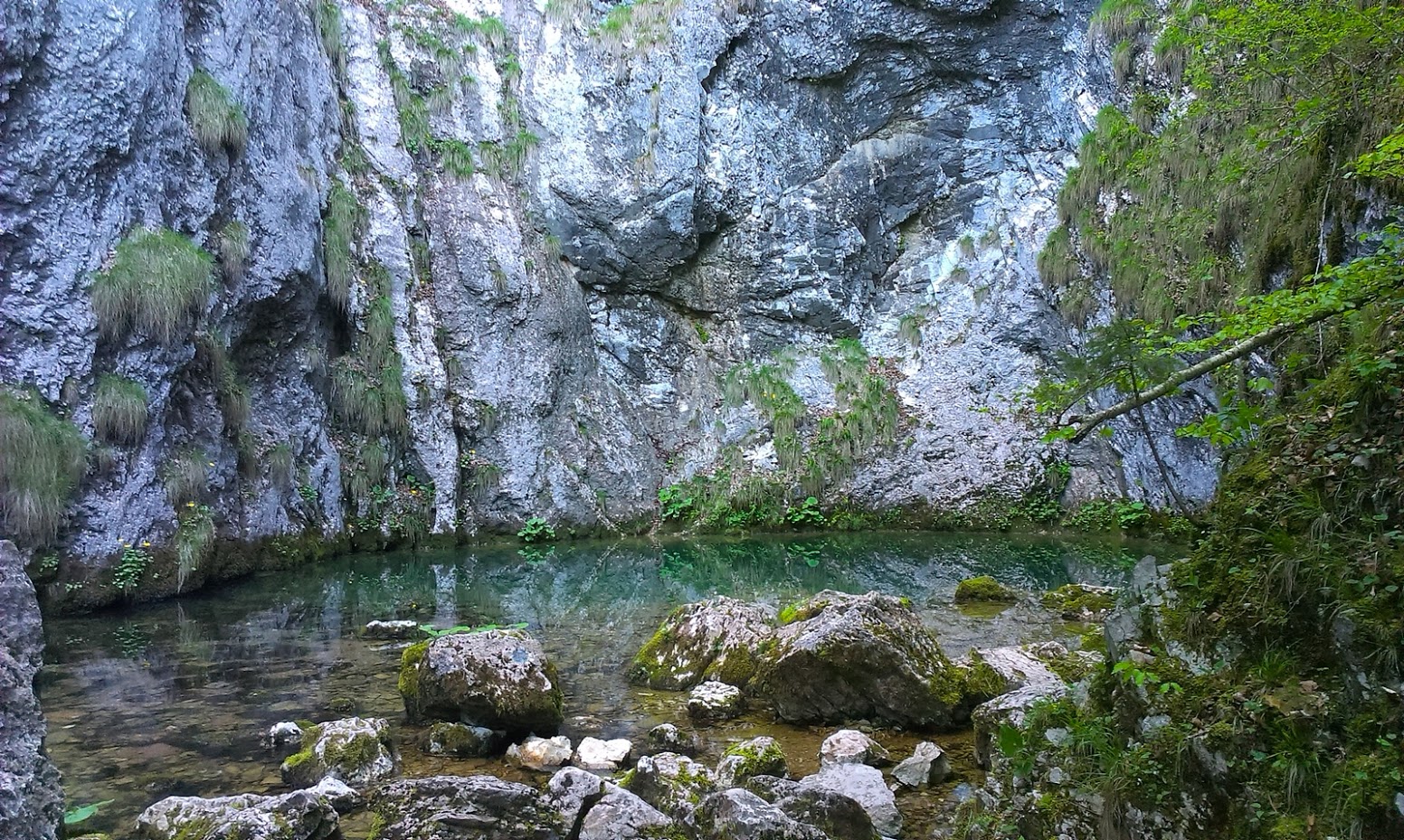 Izbucul Tauz, Romania