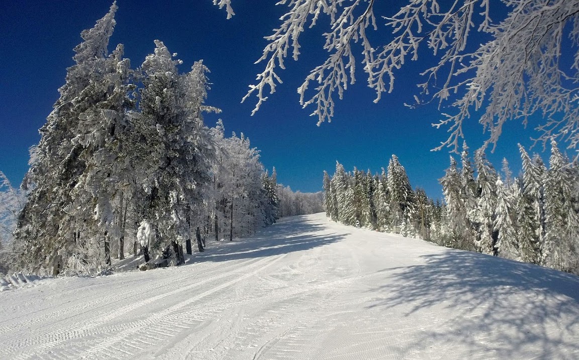 Kojšovská hoľa 13.02.2015