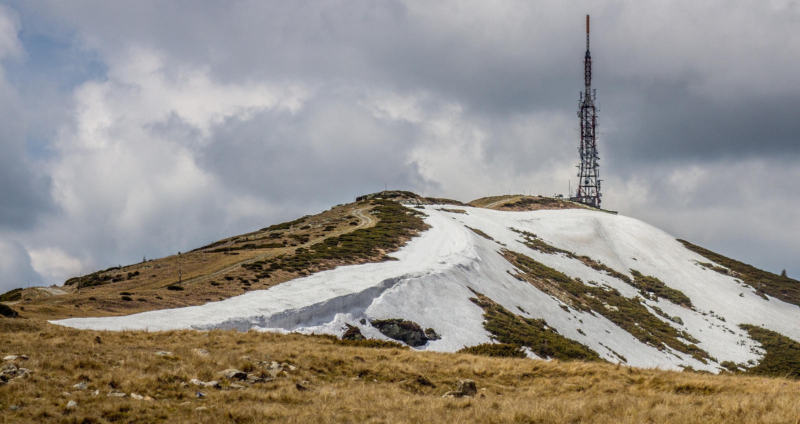 Cucurbita Mare 1849 m