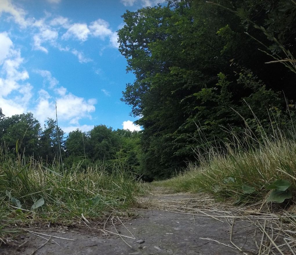Jahodna, trail run