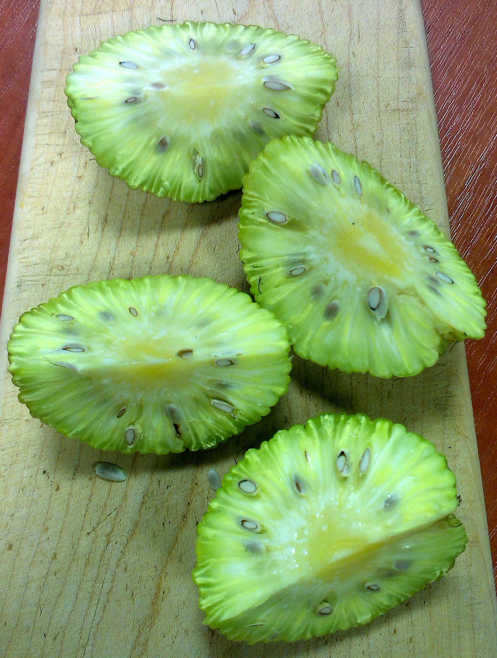 Maclura pomifera (Maklura pomarančová)