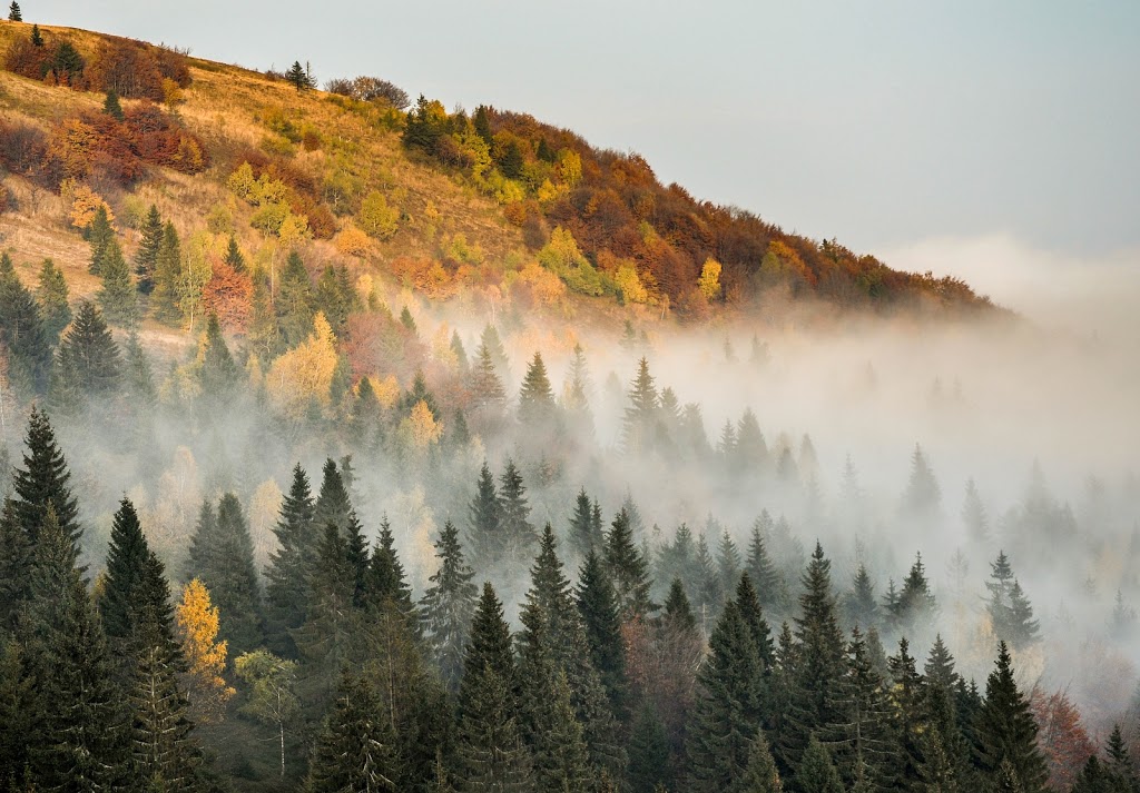 Kojsovska hola, jesen 2015
