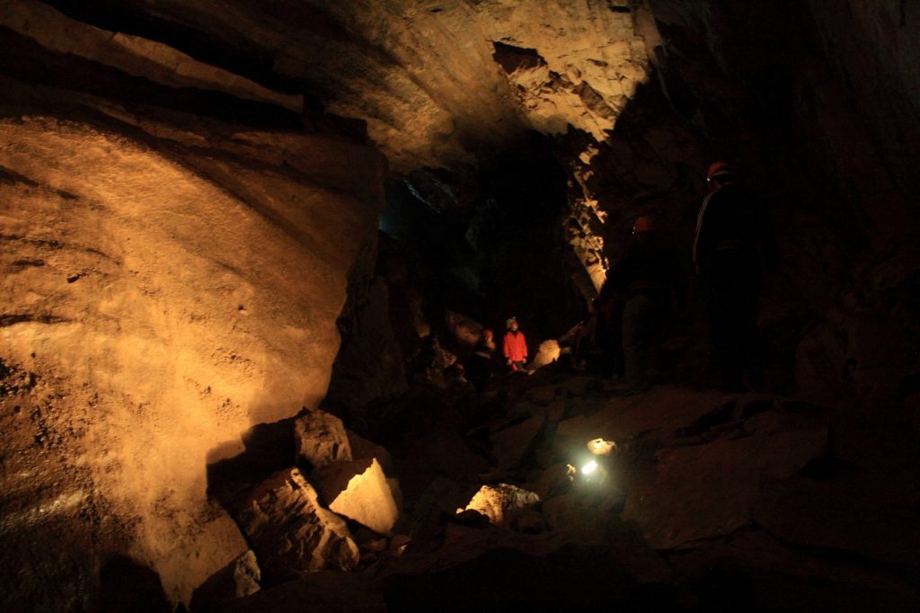 Jaskyňa mŕtvych netopierov, Nízke Tatry