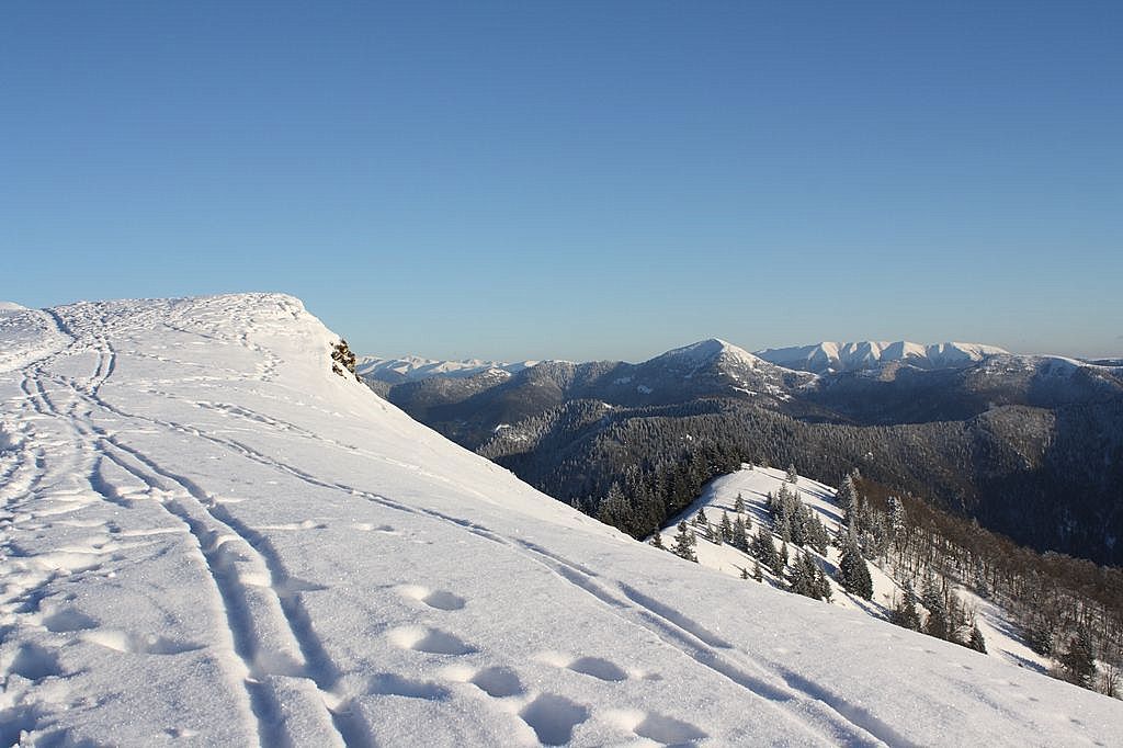 Lysec, Veľká Fatra