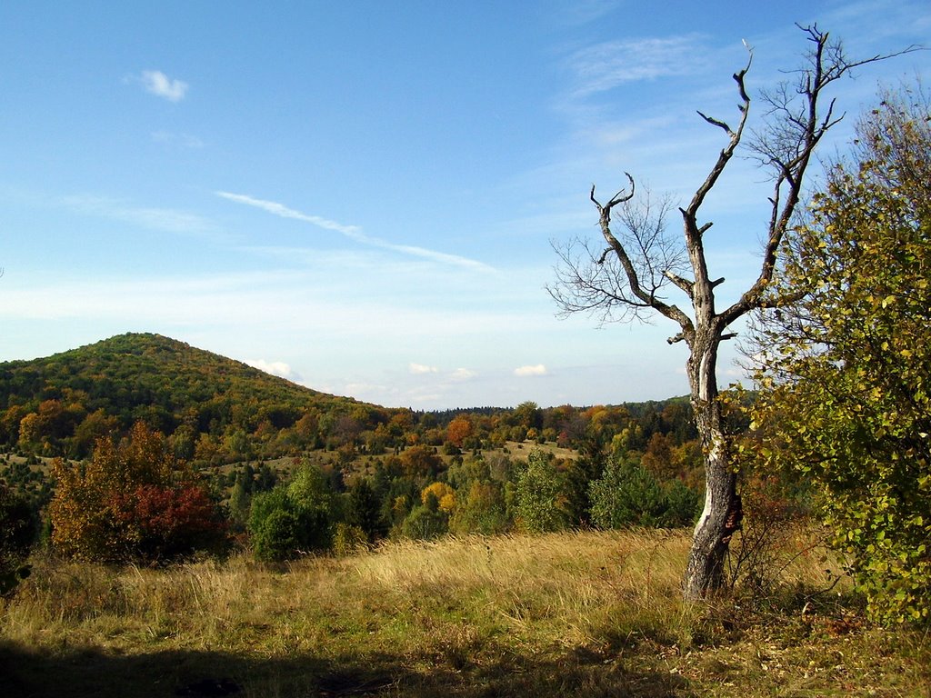 Plešivská planina, Slovenský kras